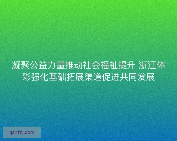 凝聚公益力量推动社会福祉提升 浙江体彩强化基础拓展渠道促进共同发展