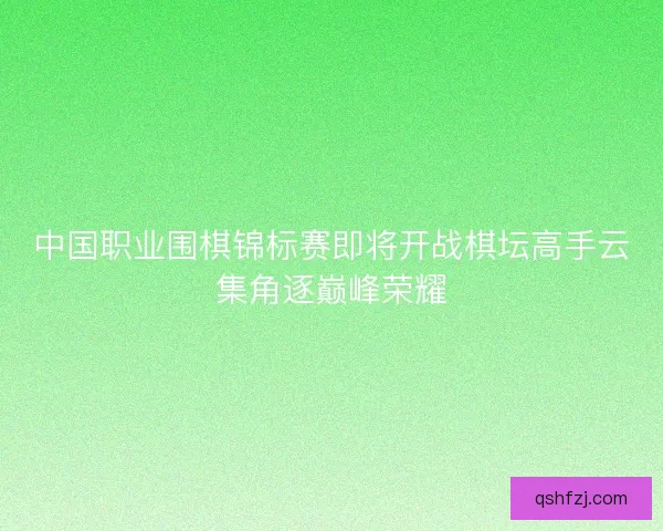 中国职业围棋锦标赛即将开战棋坛高手云集角逐巅峰荣耀